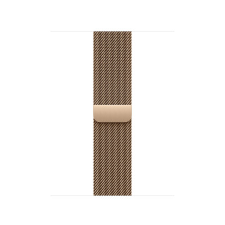 Watch Acc/40/Gold Milanese Loop