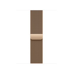 Watch Acc/42/Gold Milanese Loop