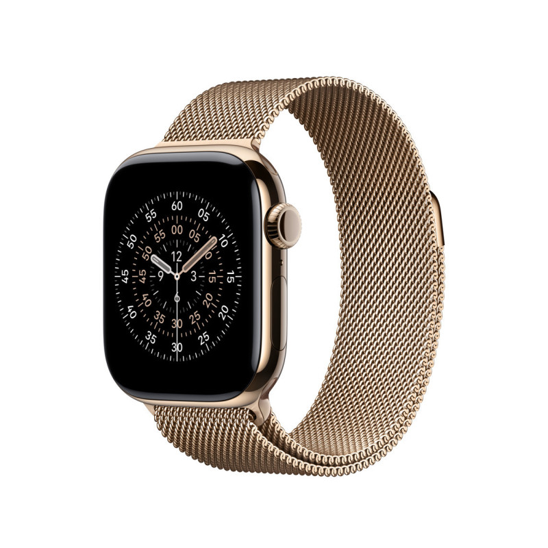 Watch Acc/42/Gold Milanese Loop