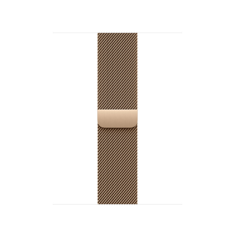 Watch Acc/42/Gold Milanese Loop