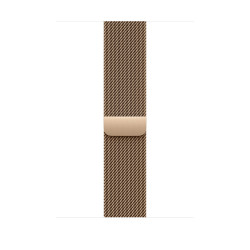 Watch Acc/46/Gold Milanese Loop - M/L