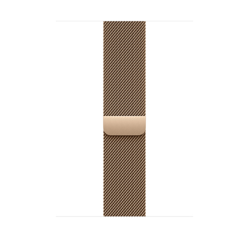 Watch Acc/46/Gold Milanese Loop - M/L