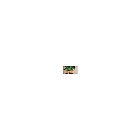 50" D-LED Philips 50BDL4650D-UHD, VA, 500cd, AN, 24/7