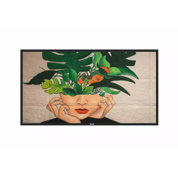 75" D-LED Philips 75BDL4650D-UHD, IPS, 500cd, AN, 24/7
