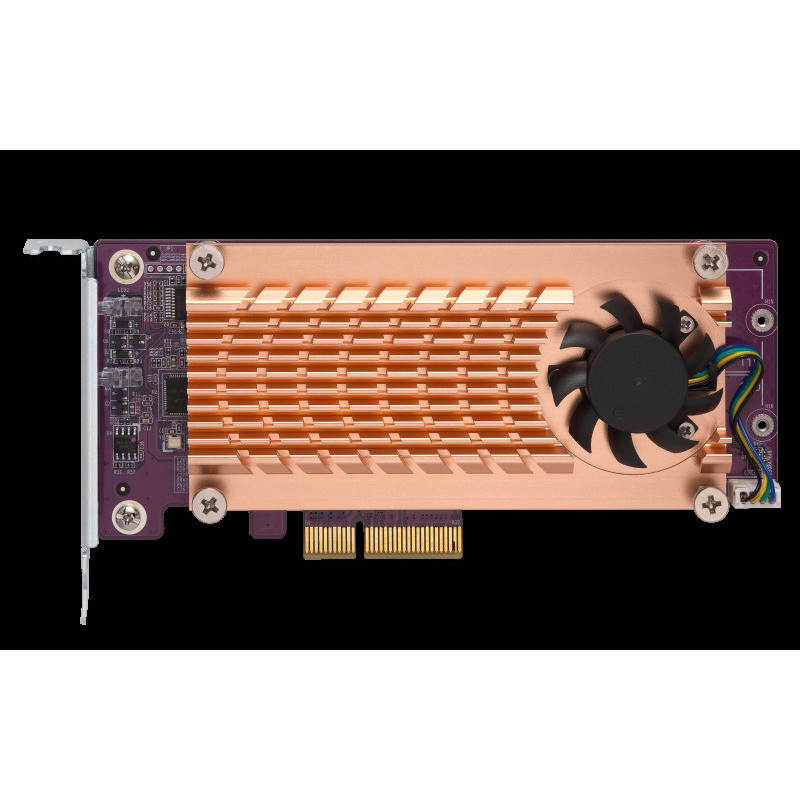 Qnap QM2 Card - QM2-2P-244A