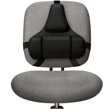 Fellowes Chrbtová opierka Profesional