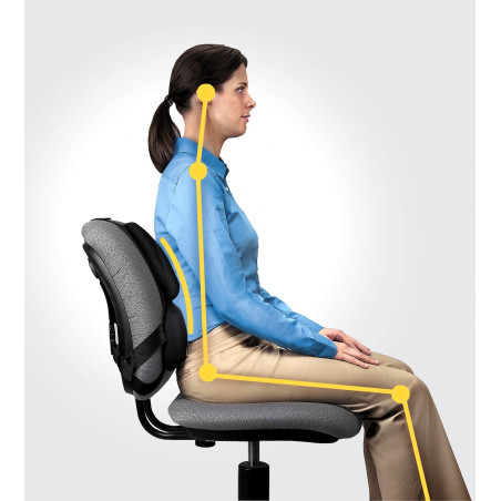 Fellowes Chrbtová opierka Profesional