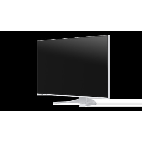 EIZO FlexScan/EV3240X/31,5"/IPS/4K UHD/60Hz/5ms/White/5R