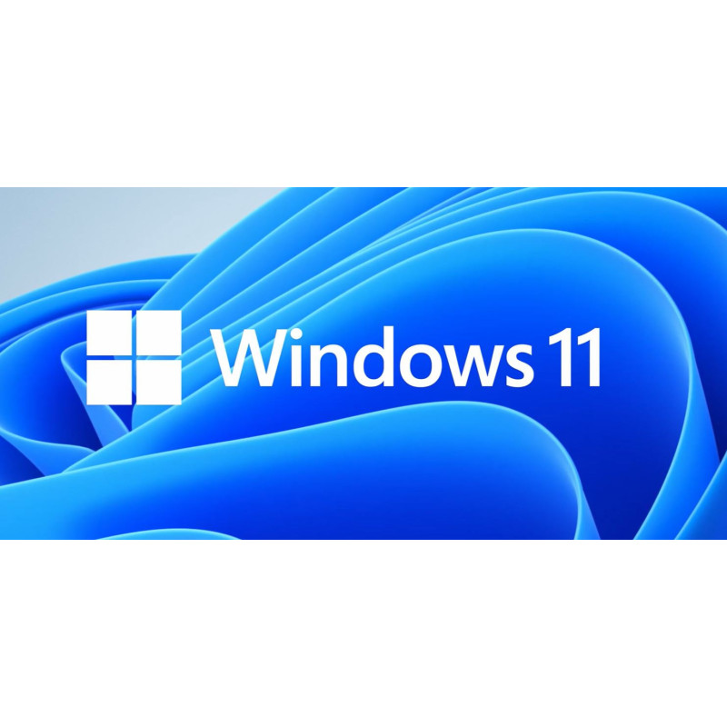 MS Windows 11 Professional 64-bit Czech 1pk OEM DVD