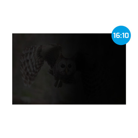 Privátny filter Natec Owl 14" 16:9