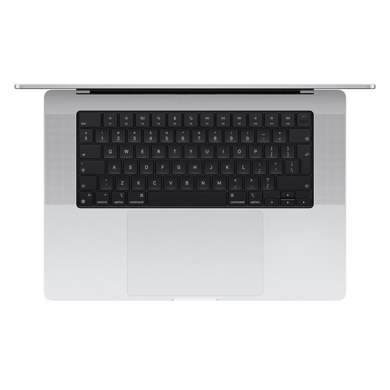 Apple MacBook Pro 16"/M4 Max/16,2"/3456x2234/36GB/1TB SSD/M4 Max/Sequoia/Silver/1R