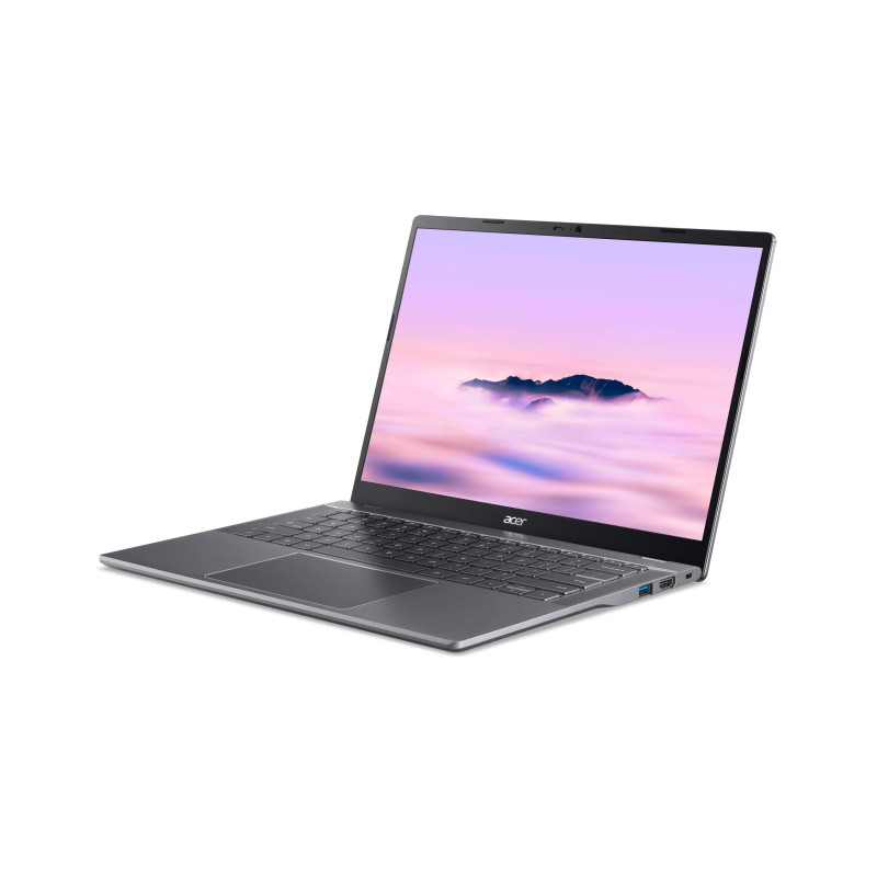 Acer Chromebook Plus 514/CB514-5H-31PH/3-100U/14"/WUXGA/8GB/256GB SSD/UHD/Chrome/Gray/2R