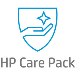 HP 1y PW Onsite DMR NB Supp